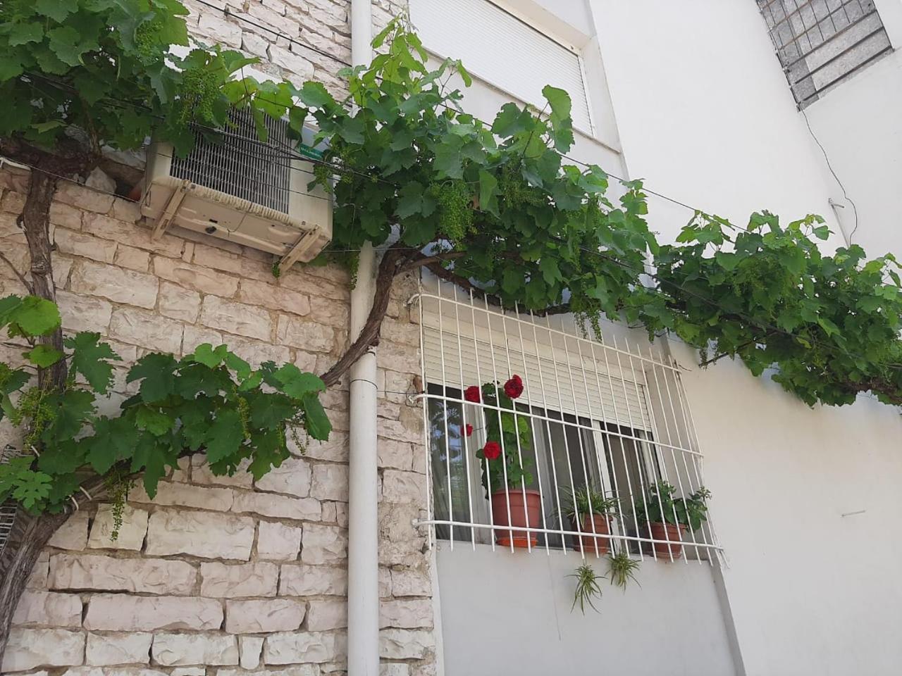 Sofia'S Modern Apartment Gjirokastër Esterno foto